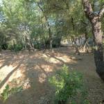 vente terrain constructible piolenc 84420